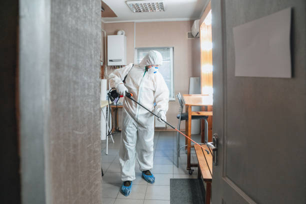 Mold Odor Removal Services in Green Oaks, IL