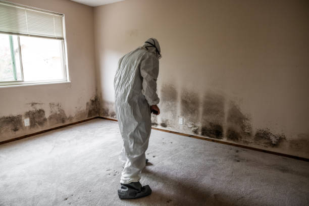 Best Emergency Mold Remediation  in Green Oaks, IL